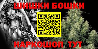 МДПВ Будённовск