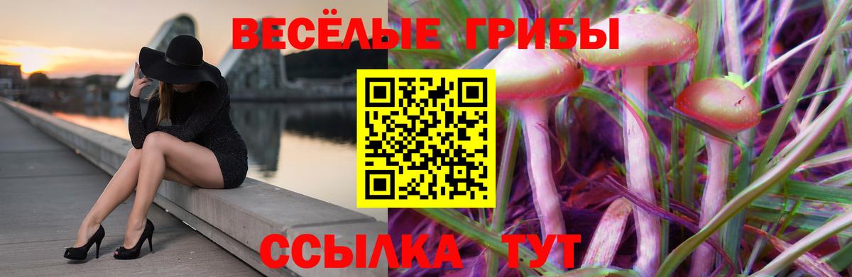 Псилоцибиновые грибы мицелий  Вход с VPN  Псилоцибиновые грибы мухоморы  Волгоград 